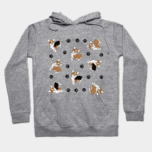 Cute Corgis Hoodie